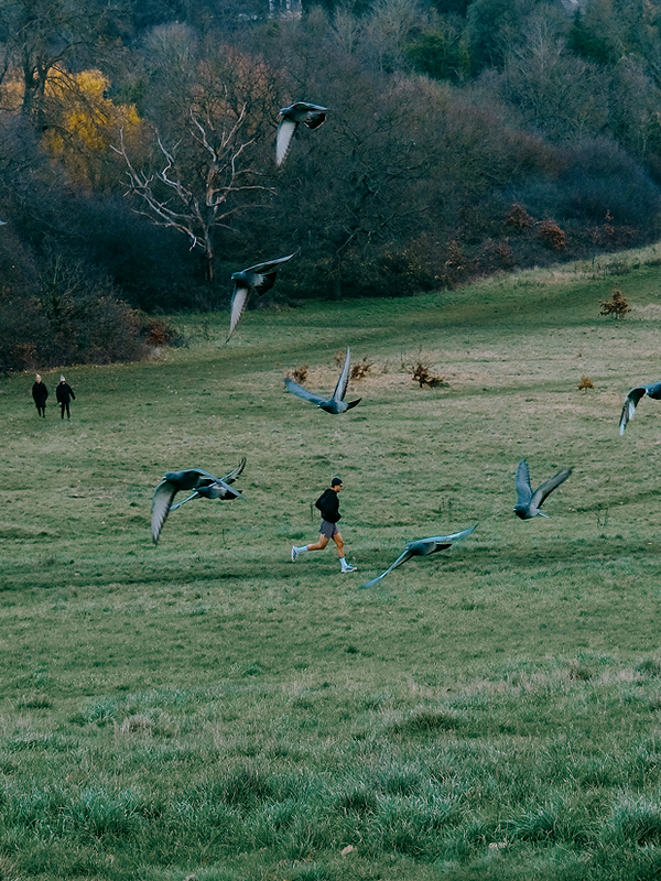 Weekly Training Fuel Guide