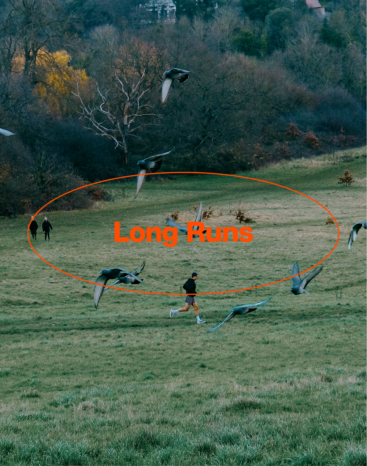 HOW TO FUEL YOUR LONG RUN